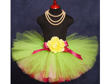 ���� �����, ���������, ������� � ��������� �����