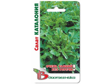 ����� ���������. 0,5 �. 10 ���.jpg