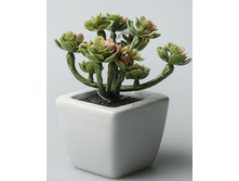 ��������� 43927 74�.jpg