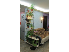 ��� �������