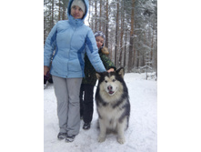 IMG 20160104 124643.jpg