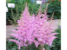 �������� ������� ���. ����.jpg