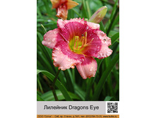 �������� Dragons Eye  ���� 138�.00�. �� 1 ��
