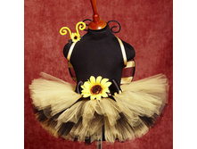 ������ ������ � ��������� �����