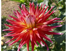 ������� ���� ���� (Bora Bora) ���-�� � �������� 1 ��., ���� �� �������� 75 ���..jpg