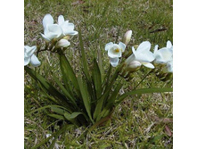 ������ �������� ����� ���. ����.jpg