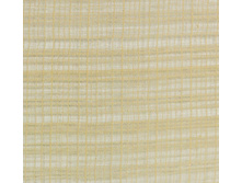 ��������� �����