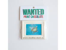 ���������� �������� "���� ��������� ���������" 80�� � 100��, ���. ���-096�