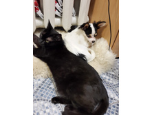 20160114 194408[1].jpg