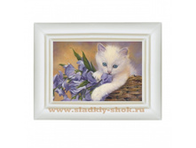 ���������� �������� "������� � �������" 80�� � 100��, ���. ���-169�