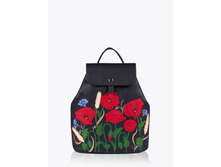 ������ 152310 ������.jpg