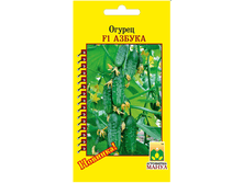 F1 ������.bmp