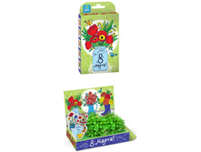 8 ����� ���� 120�.+%