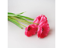 ����, ����� ��������� ���. 9132 175� ����� ���� 150�