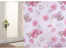 ����� ������ �������