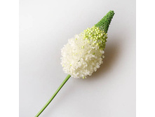 �������� �����, 9165 128�.jpg