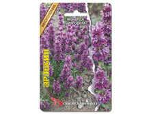 ������� ��������� �������. 50 ��. 16 ���.jpg