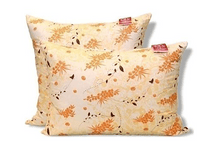 ������� �������� 1 ��� ����� ���������