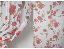 ����� ������ ������ ����