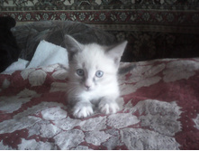 IMG 20160116 110825.jpg