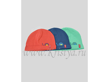 ��������� � ��������