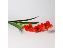 ����� ����� ��������, �������, 29291 130�.jpg