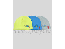 ��������� � ��������