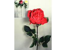 401/0533� ����