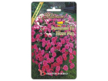 ��������� ������� ������� F1 ���� ���. 5 ��. 85 ���.jpg