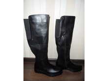 504 ���� ���.����