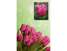 ����  43 ���.  ����� ������ 10 ��!!!