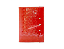 BV3-LK268 �������� ��������.jpg