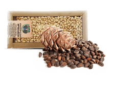 �������� ���� ��������� 130 ��-302 ���. ����� ����-171 ���.