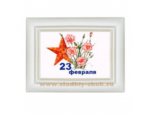 ���������� �������� "23 �������" 80�� � 100��, ���. ���-217�