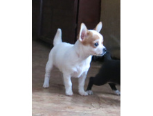 ������ 025.JPG