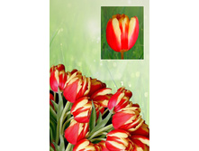 ������ ����   37 ���. ����� ������ 10 ��!!!