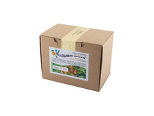 ������� ����� (Sapindus Mukorossi), 0,5 ��. �����