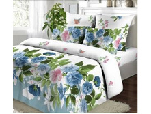 ��� ����1 ����� �������.jpg