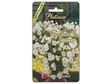 ������� ��������� F1 ��� ���� ������. 5 ��. 85 ���.jpg