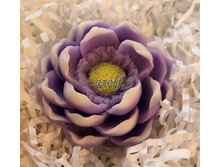 �������� �����. - 200 ���.