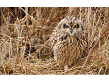 �������� ����.jpg