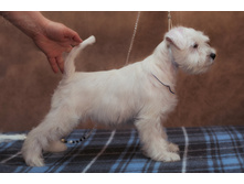 3 �����.JPG