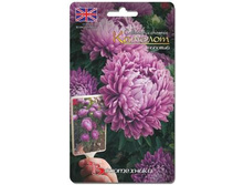 ����� ��������� ����� ������� �������. 40 ��. 18 ���.jpg