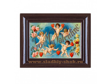 ���������� �������� "������ � ��������" 80�� � 100��, ���. ���-205�