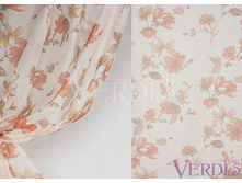 ����� ������ ������