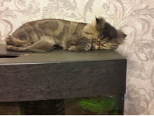 20151231 235044[1].jpg