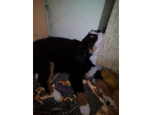 IMG 20160106 215450.jpg