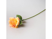 ���� 35 �� ������, 1801 53�.jpg