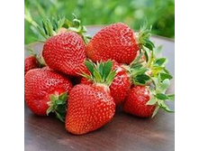 ��������� ������� ����.jpg