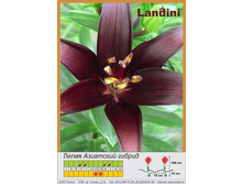 ����� Landini ��� 10 �� ���� 1 �� 52�